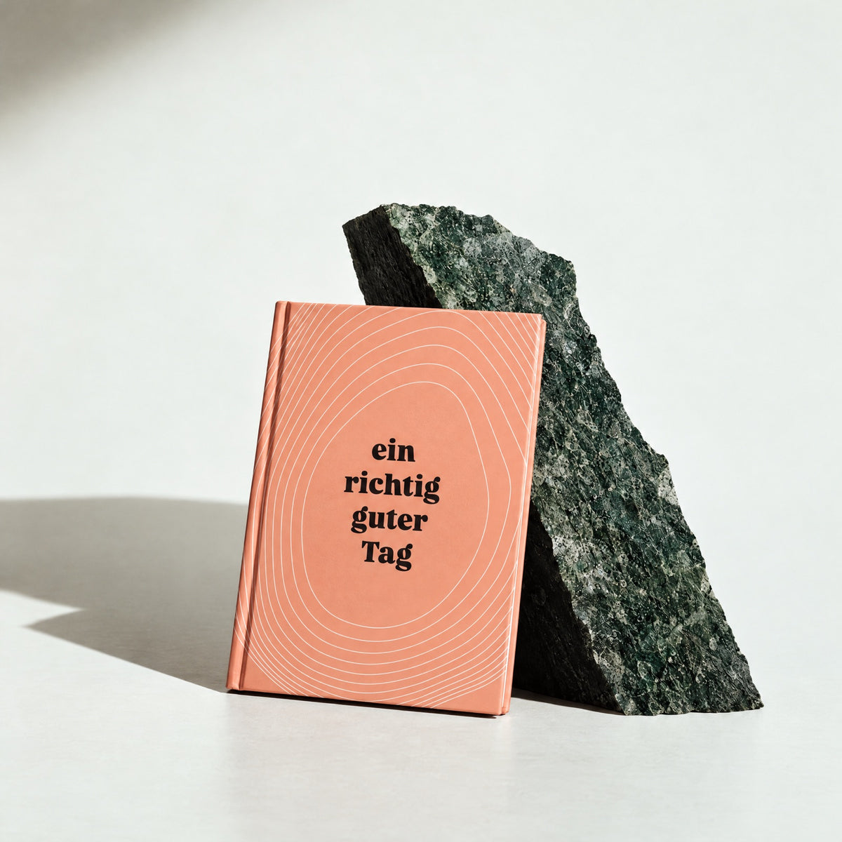 Das Tagebuch lehnt geschlossen an einem dunklen Stein (Visualisierung)