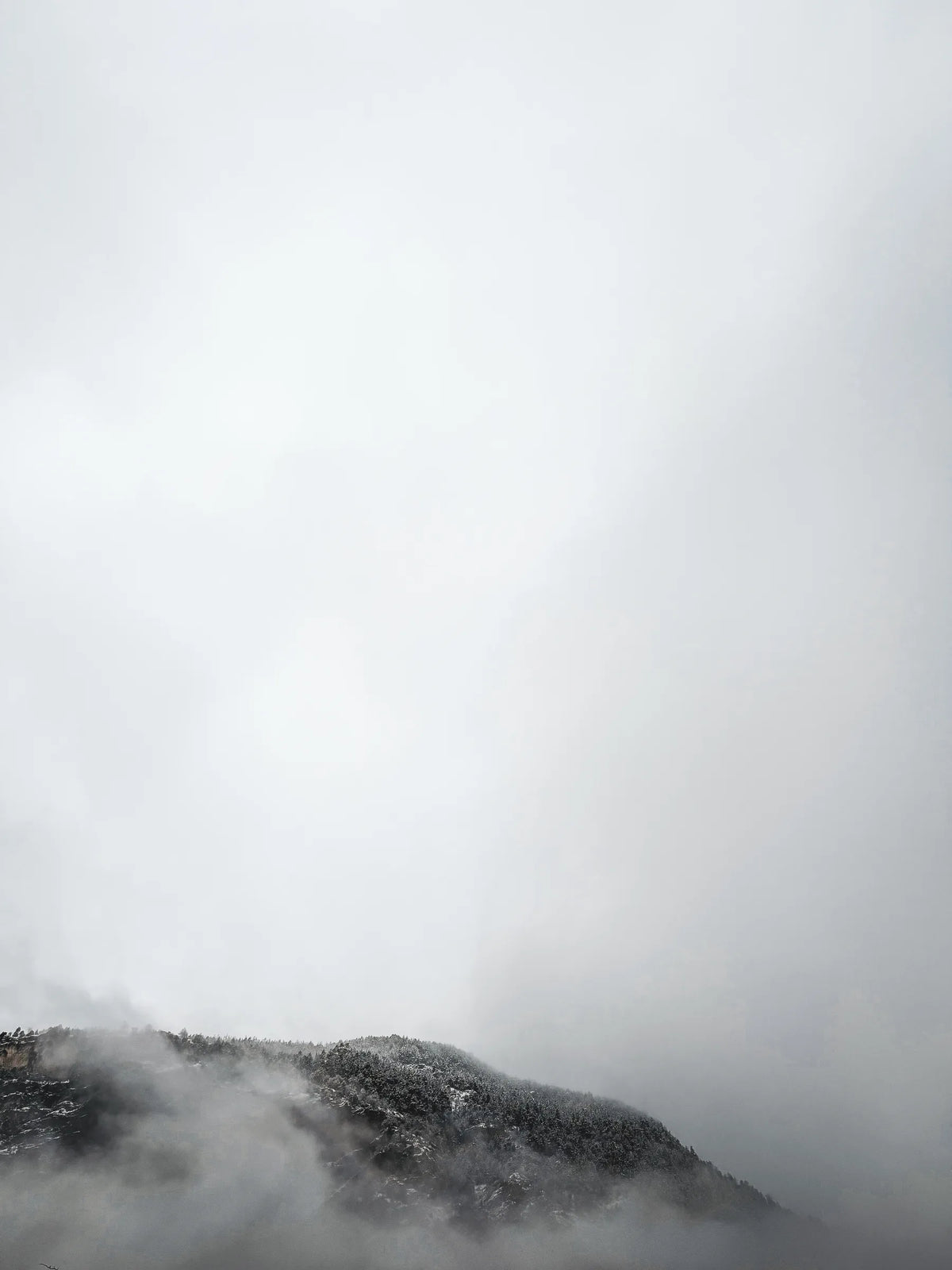 Nebel zieht über einen Felsrücken, fast alles ist weiss